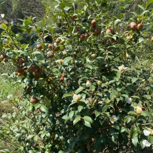 ��̬�� | �Ͳ��ҵ��̬��