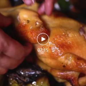 ��ζ�� | ������Ҥ��