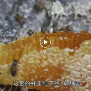 ��̬�� | ǧɽ��Ū������