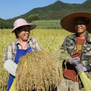 ��̬�� | ������׾�