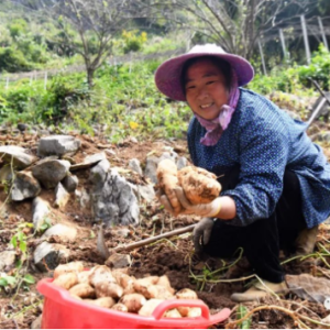 ��̬�� | ��ɽ����������