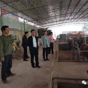 ��ʤ����������������˹���