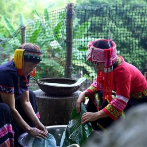 ��ζ�� | �������