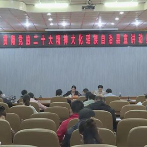 ������ѧϰ�᳹���Ķ�ʮ���񡿴󻯾ٰ�ѧϰ�᳹���Ķ�ʮ����������Ա��ѵ��