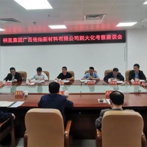 ͩ�����Ź����Ӳ��²������޹�˾�����ŵ��󻯿���