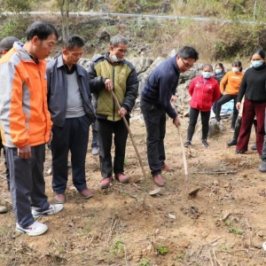 ��������ˡ��󻯣���չ��ֲ������ѵ ����������ũ��