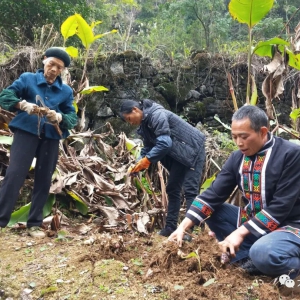 ��̬�� | ��ɫ��ź