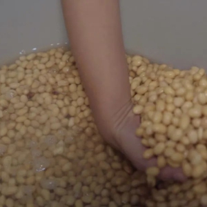 ��ζ�� | Ū�ö���