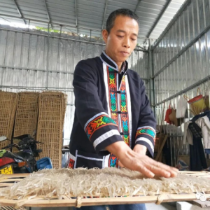 ��̬�� | ��ɫ��ź