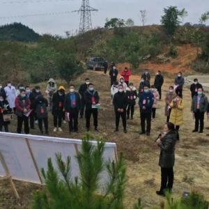 ����֯�˴������չ�����Ӳ�