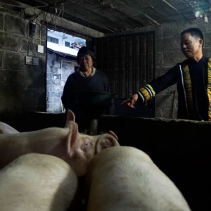 ��ζ�� | ��������