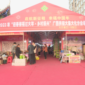 ���´��߻��㡿�󻯣������������ ����ϲϲӭ����