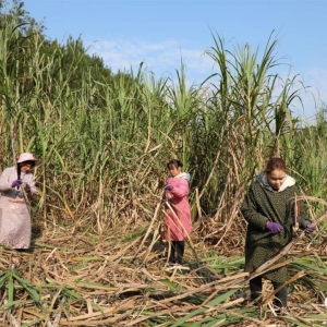 ��ζ�� ����̲�ŷ���������