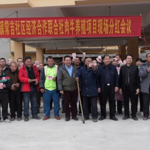 Τ���³�ϯ��̲�򳣼�������ֳ�ֺ췢����ʽ