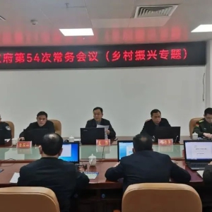 ��ʤ�����ٿ��������ר�ⳣ�����