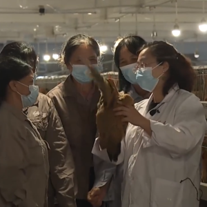 �����̸ح������ͨ����ɽ·��