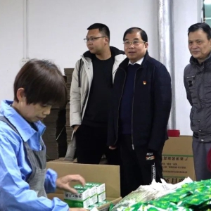 Τ���µ�����������ҩ���޹�˾���и����������