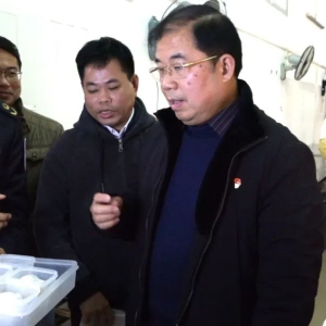 Τ���µ���̲�������ѧ��Ӫ���Ͱ�ȫ����