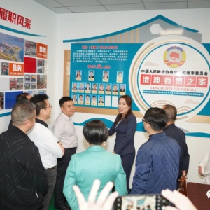 �ӳ����쵼�ʸ۰�ίԱ���󻯿������