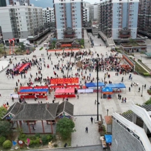 �󻯣����е��� ������ �����л����干ͬ����ʶ������ʵ������ʷ׳�