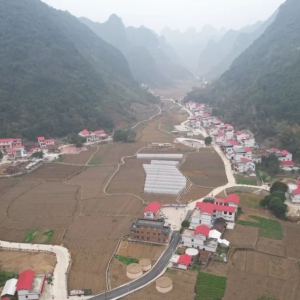 �󻯣������Ʊ������������ں��ۺ���