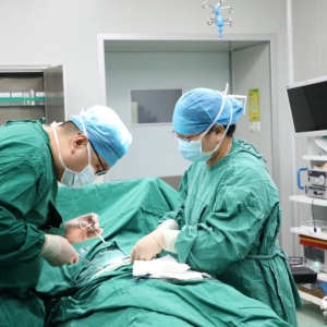 ���������� ���������졿Τ�������Է��֮�� Ԧҽ·֮��