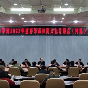 �����ֲݾ�ɭ�ַ��𶽵��鵽�󻯶���ɭ�ַ�����