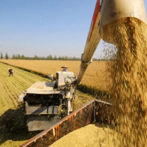 �ӻ��ۣ����帴�˵���·�� ������������Ĺ�