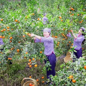 ��Ҳ�磺���������ҵ��������á���ժ�ָ�æ