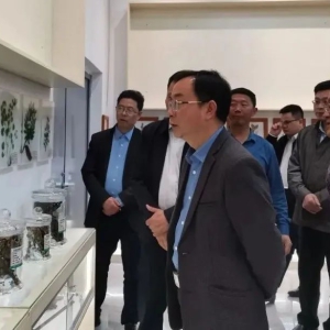 ����ʵЧ ǿʵ�� ץ��ʵ����ʤ���Ż����� ǿ������ �ƶ���Ӫ��ҵ������չ