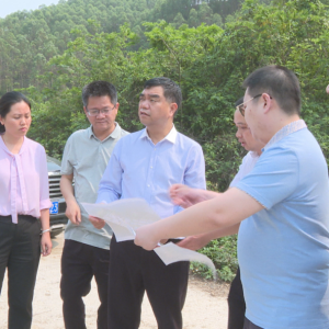 �������д󻯹�Ĺ�滮���蹤��