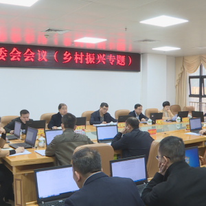 ���������ٿ���ί��ί�����