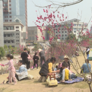 �󻯣�С��԰������ �����Ҹ������վ���