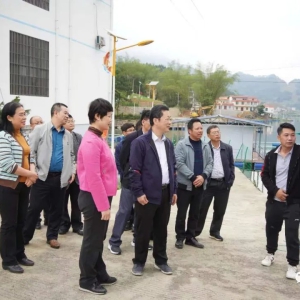 �ӳ�����Э�����鵽�󻯿�չר�����