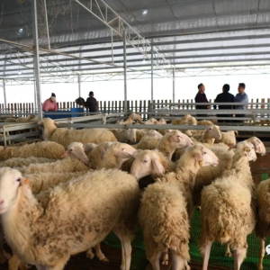 ��������ˡ���������������Ǯ׬