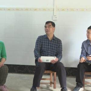 �������ź��絤����߷���ϵ�����ƶ��