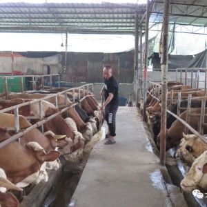 ��������ˡ�����Τ�½�����ţ�¸� ����Խ��Խ��ţ��