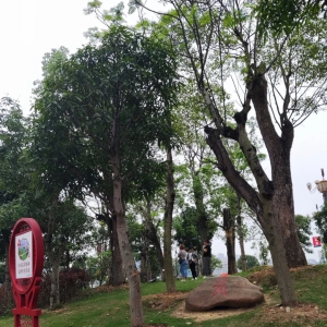 �������������������С��������㲻����������Ϊ�ع⣨����