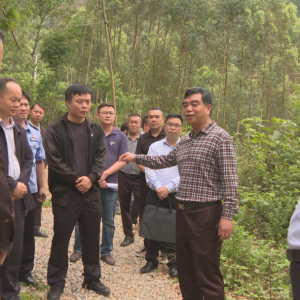 ��������ɽ��ҵ����ʱǿ����ȫ�����÷����Ϲ������ƶ���ɽ��ҵ������չ