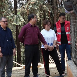 Τ���µ��������ʹ�����߰�Ū����ֳ����