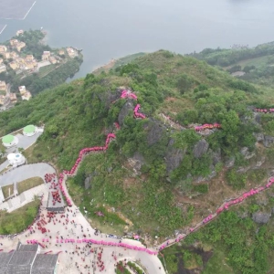 ��׳�����������󻯼��껪���󻯣����顰����������������Ϸ������