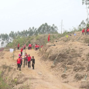 ��������ͨ��Ա���ݲμ�ֲ���������⵳�ջ