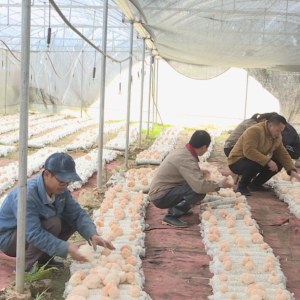 ���������� ���������졿¬�淼�����۲��ӣ��ܷ�ͼǿ�á�������