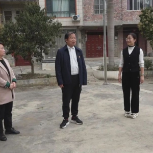 Τ���µ�����������˴�����鰸������Ŀ����ʹ������ȹ���