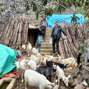 ��������ˡ������磺��չ��ҵ�������� ��������ҵ����