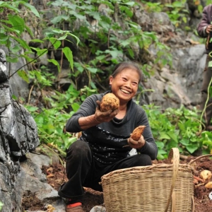 ����ʱ�� ������ ��ΰҵ���󻯹�����һ�����������������¸��