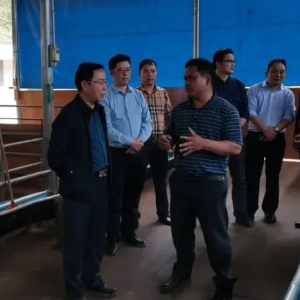 ��ʤ���������������˹���