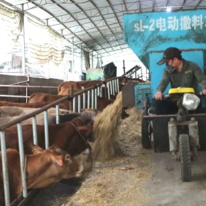 �����������ح����㣺���紴ҵ��ţ �����������