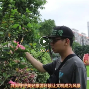 ������ح�������Σ�����������