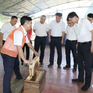 �󻯰��� ��Τ�����ڽ�������פ���������